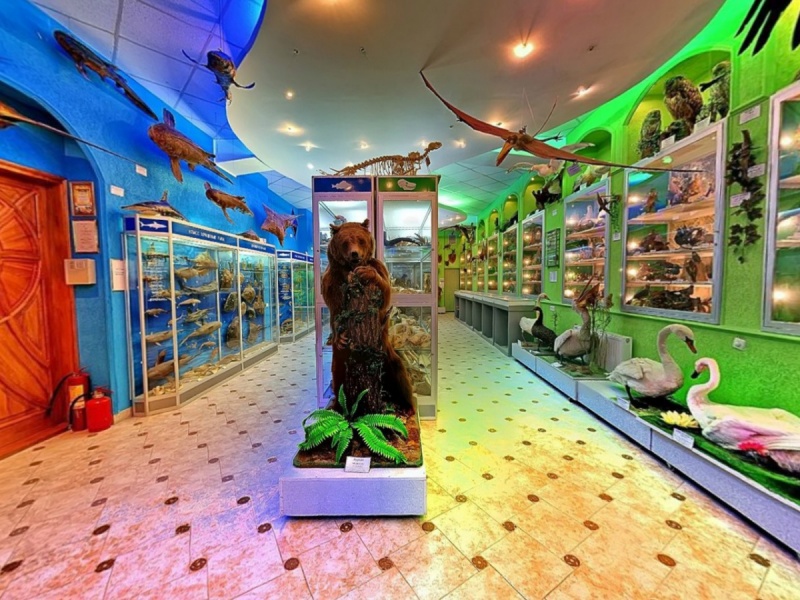 Зоологический музей ТНУ