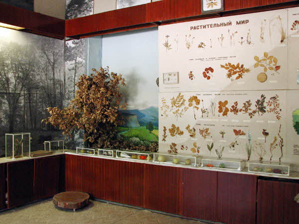 Историко-краеведческий музей Армянска